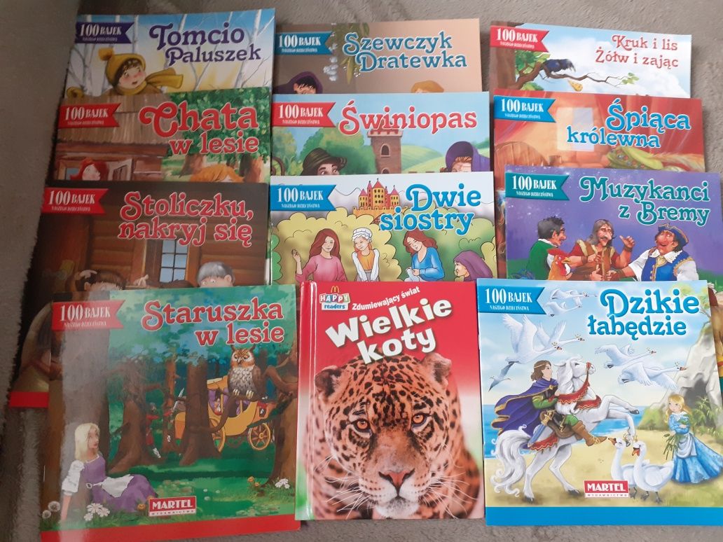 12 pak. Książeczki dla dzieci. Mattel. Wysyłka.