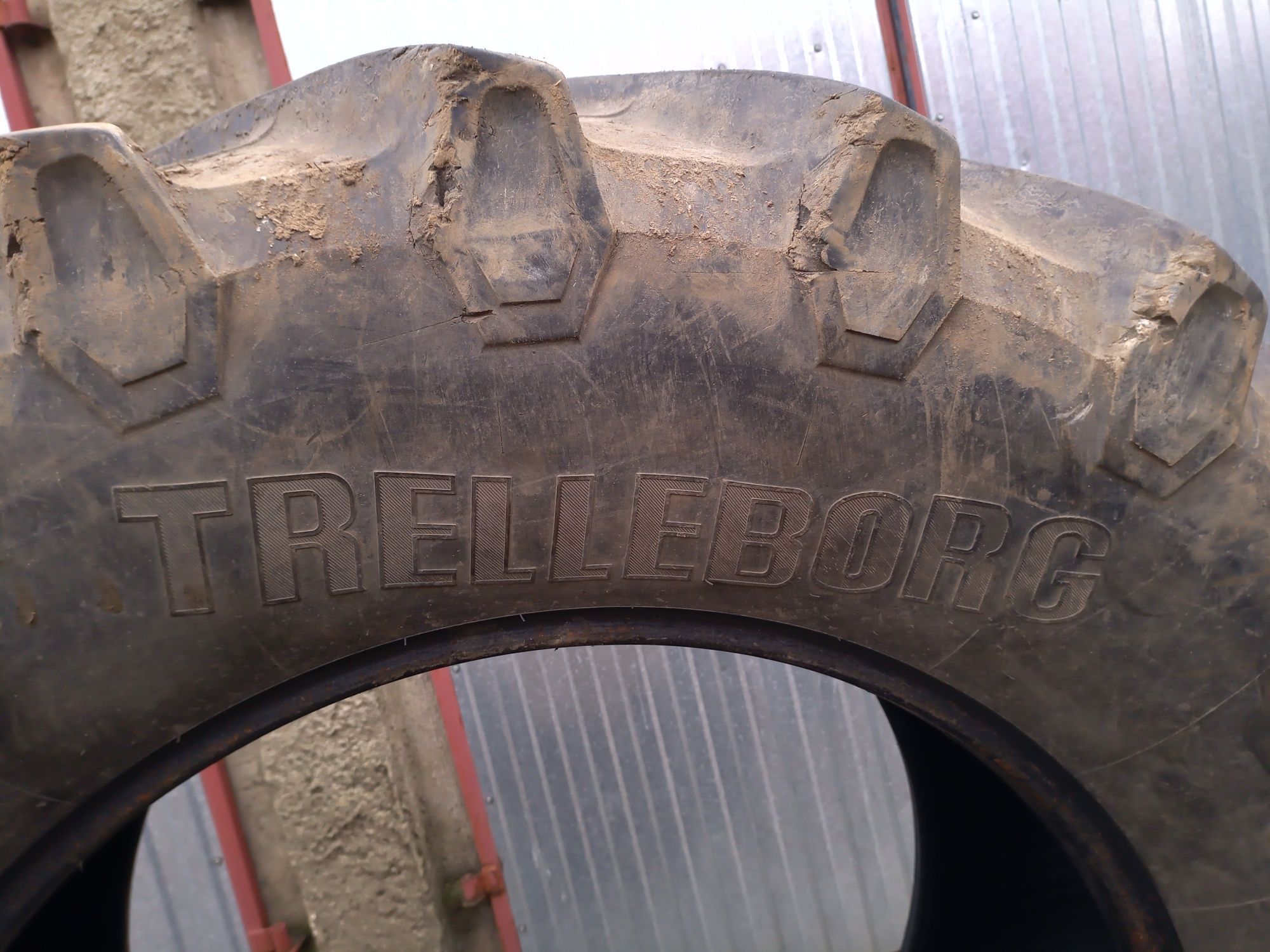 Trelleborg TM800 650/65/R38