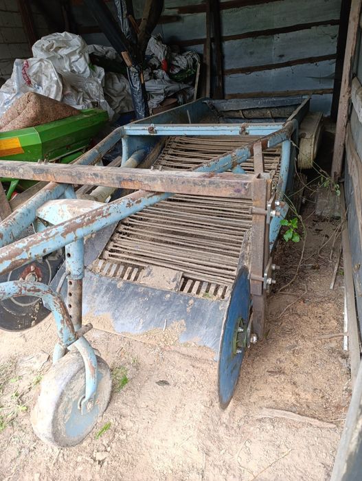 Kopaczka elewatorowe do cebuli