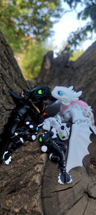 Нічна Фурія,Безубик,Денна Фурія