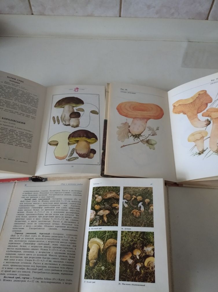 Книги про гриби їх види