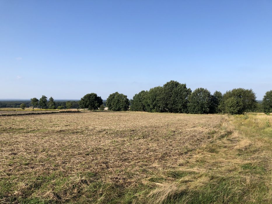 Sprzedam działki budowalane w Czciradzu