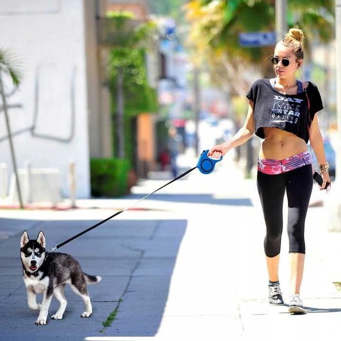 SMYCZ dla PSA KOTA AUTOMATYCZNA ZWIJANA Taśma z Blokadą 5m do 15 kg