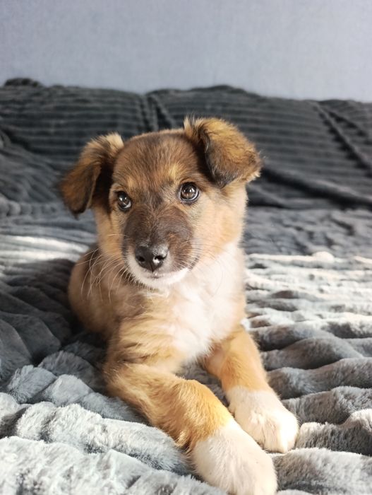 Шукає родину дівчинка