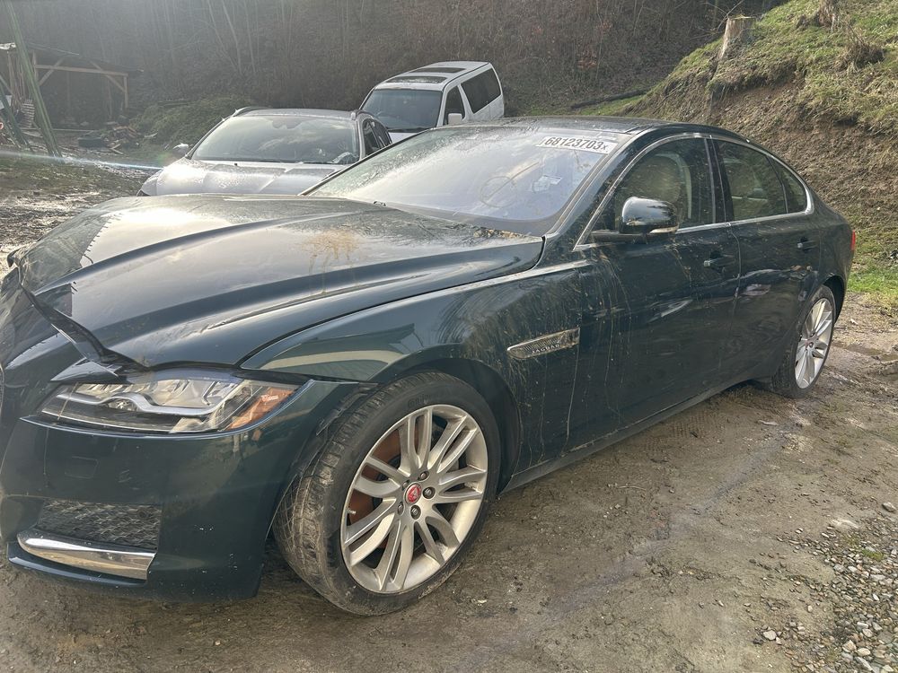 Jaguar xf x260 full opcja