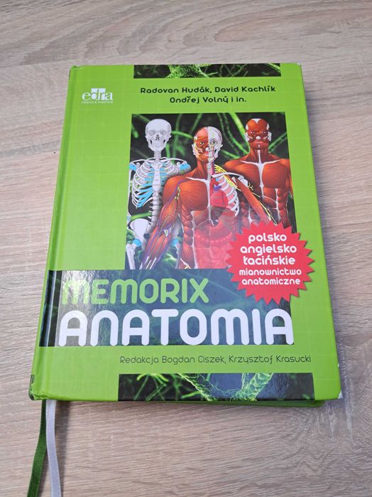 Memorix anatomia