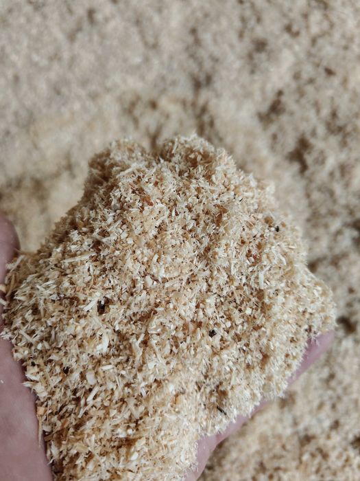 Pellet Pelet Brykiet Drewno Opałowe z dostawą od Producenta !