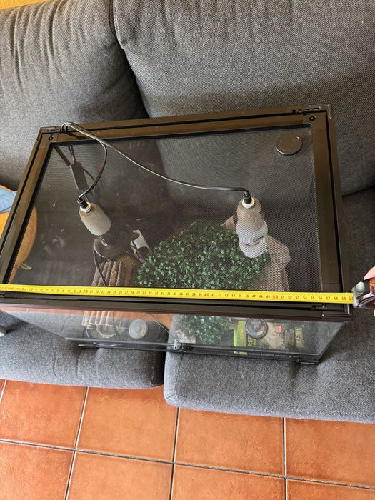 Terrario para Repteis