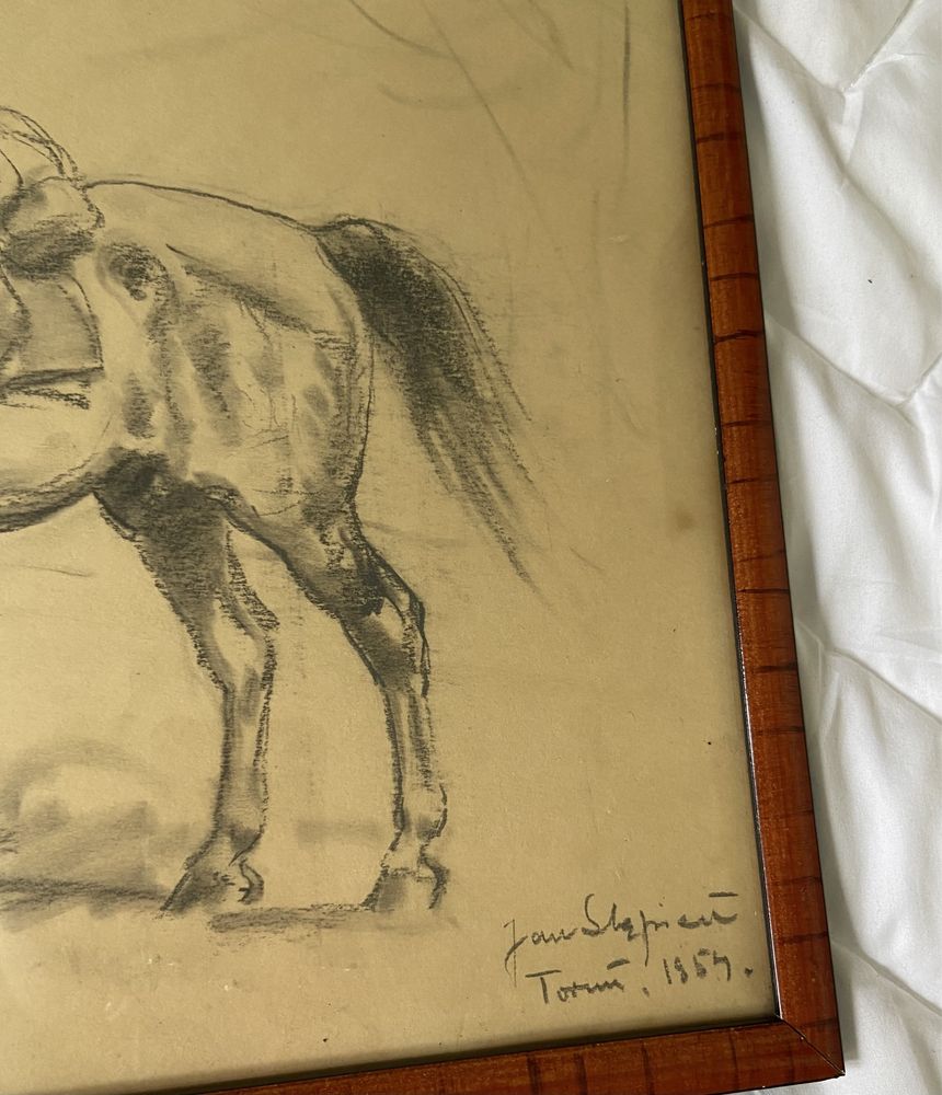 Cenny Obraz szkic koń . Wybitny artysta Jan Stepień unikat 1954