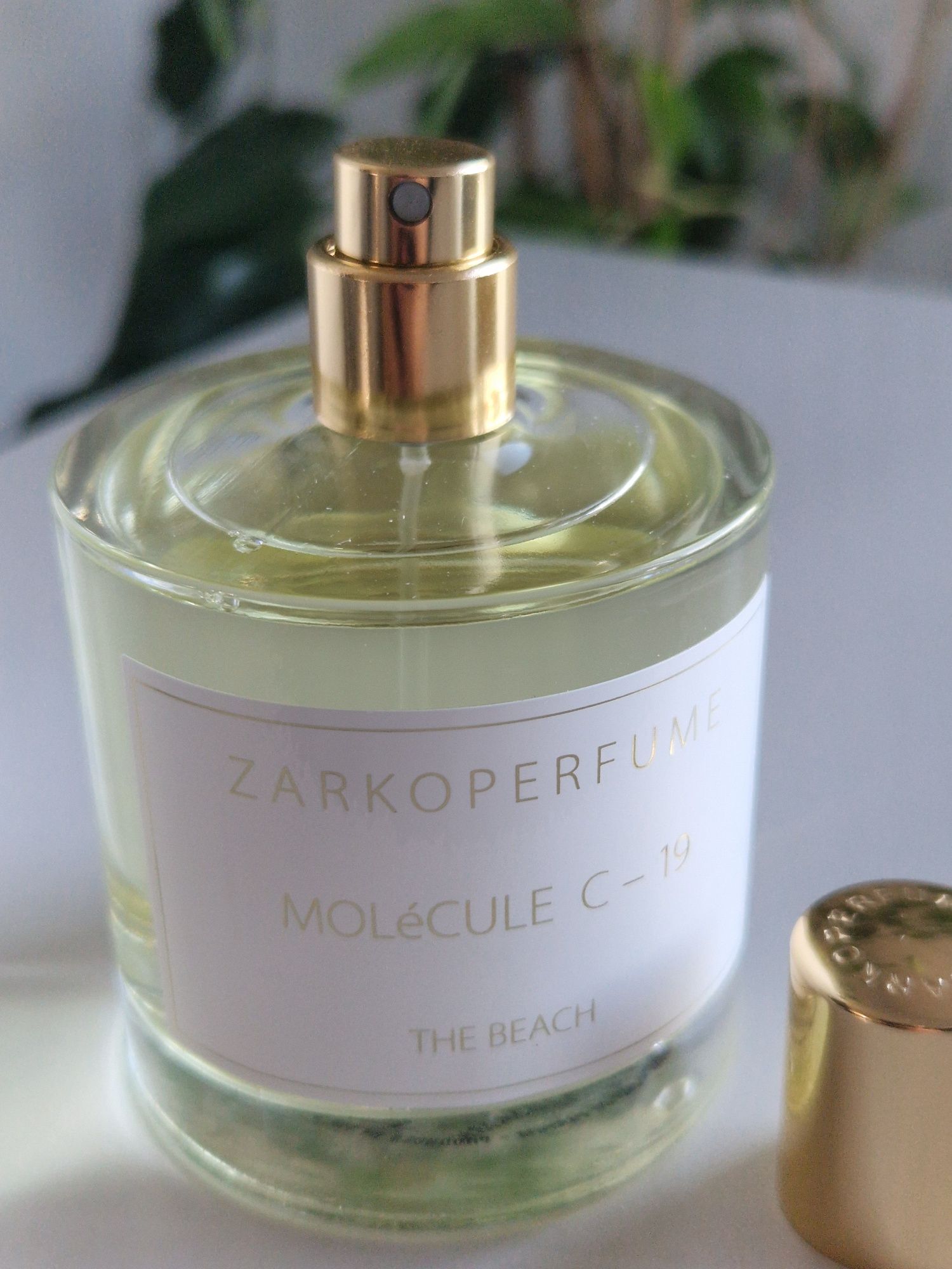 Zarkoperfume Molecule C-19 The Beach