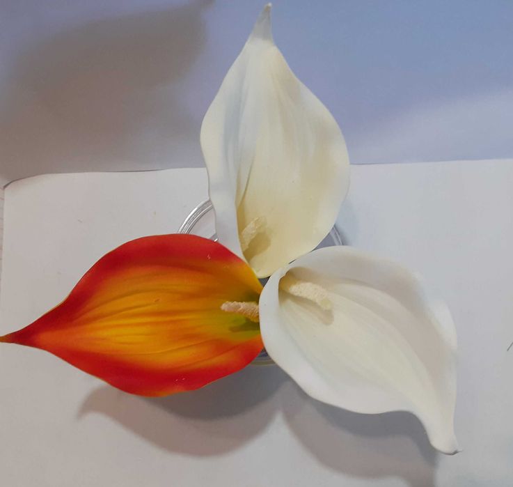 Kalia piankowa mała główka wyrobowa