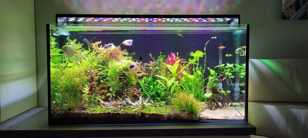 Lampa do akwarium na diodach Power LED - 80 cm firma.