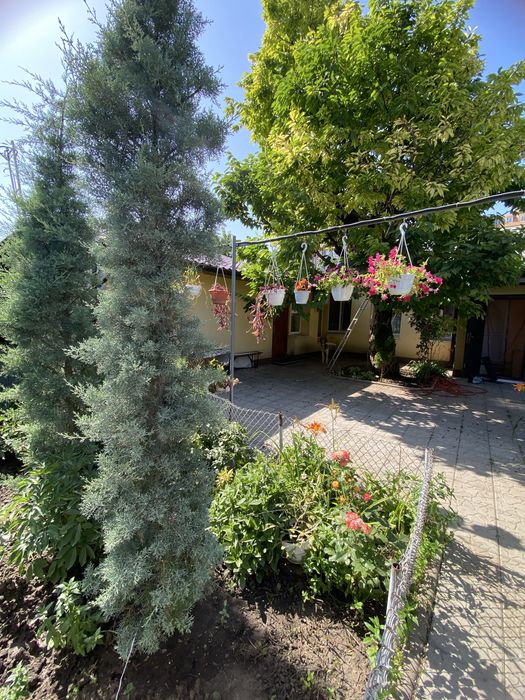 Сдам дом. Фонтанская дорога 7ст,ул. Педагогическая. До лета