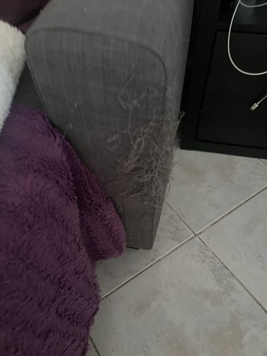 Dão se 2 sofás a quem vier buscar