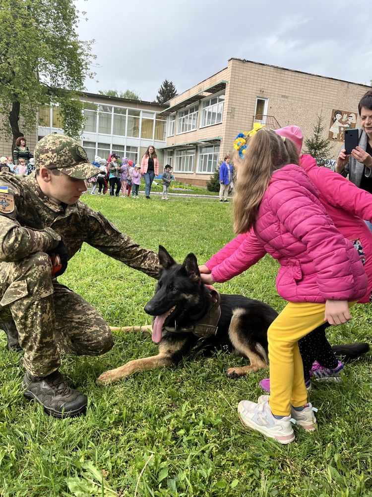 Кінолог , Інструктор з дресирування собак