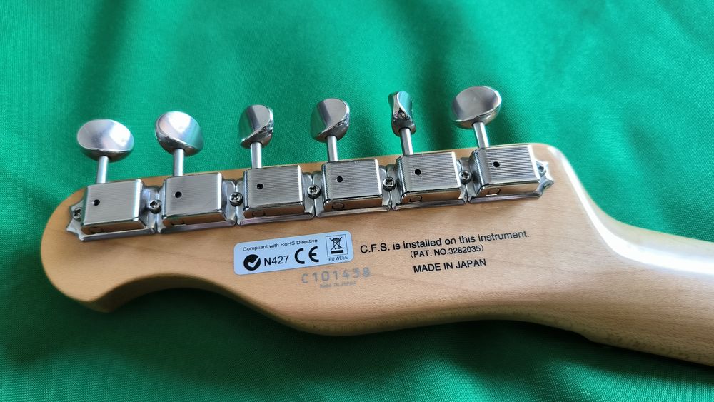 Fujigen Neo Classic TE (Japan)