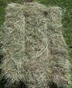 SIANO i SŁOMA w kostkach !!!