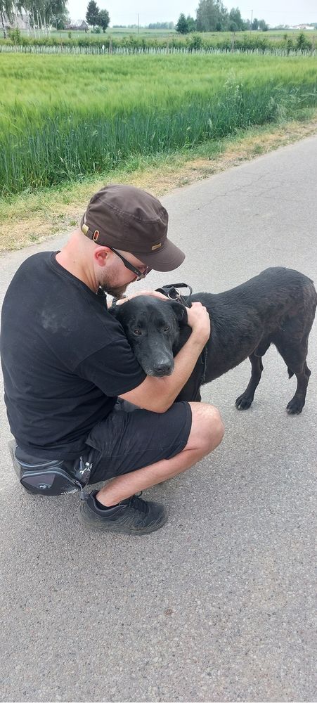 Przyjacielski Rodos poleca się do adopcji!
