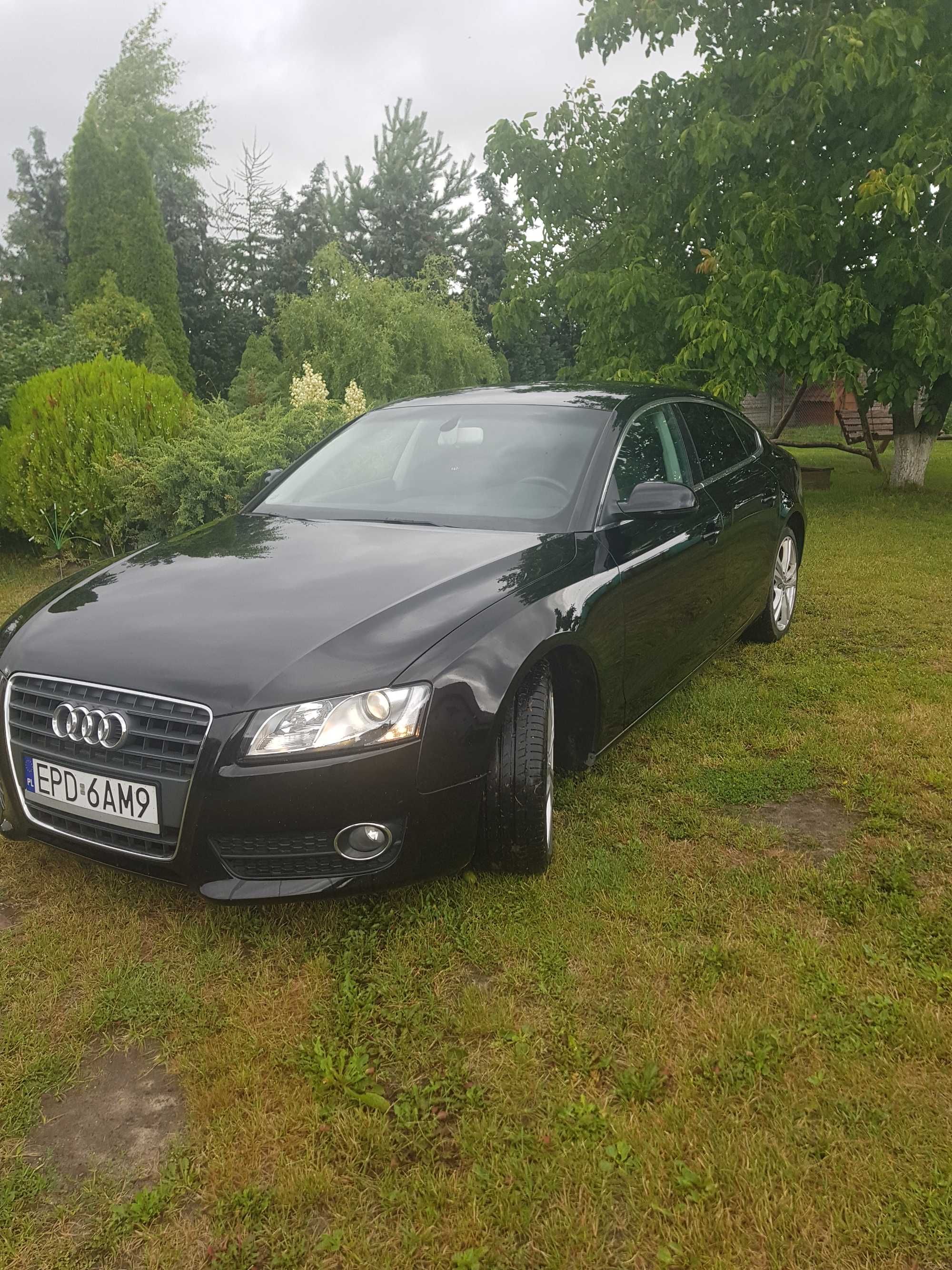 Audi A 5  A 4  5 Drzwi