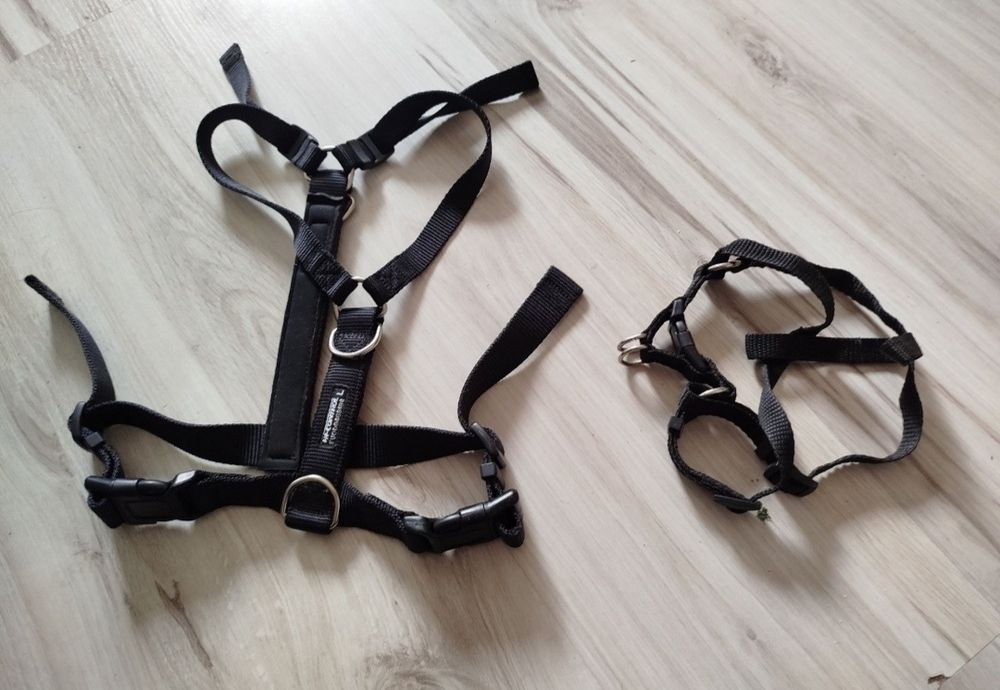 Szelki dla małego psa - 2 szt