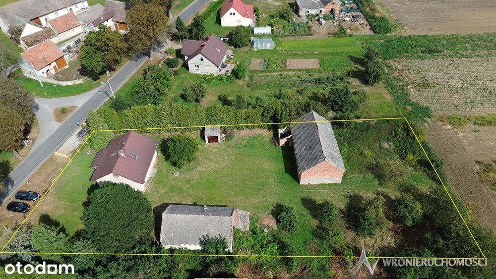 Działki 1,3550 HA oraz dom  i budynki gospodarcze