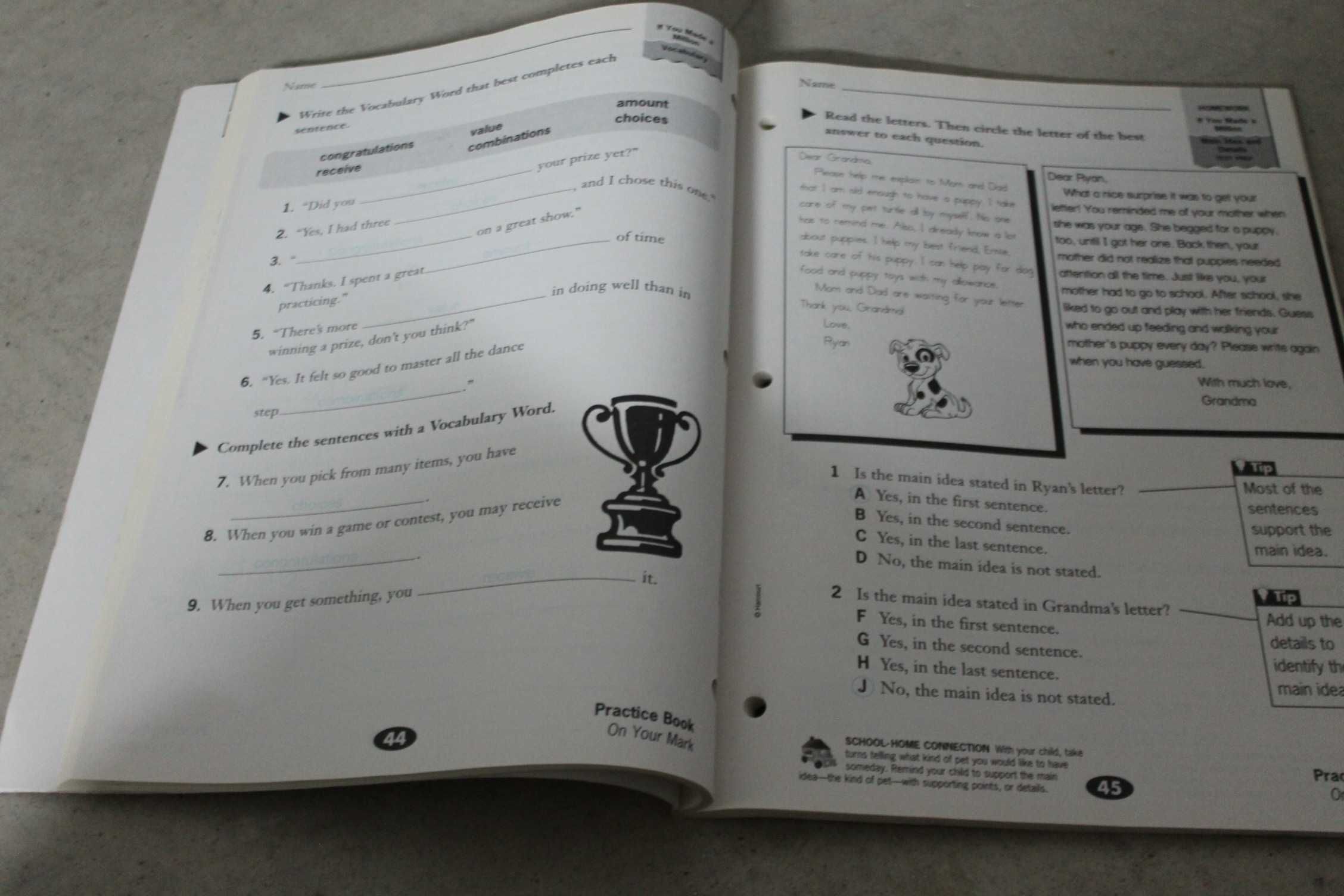 Livro em Inglês - Practice Book