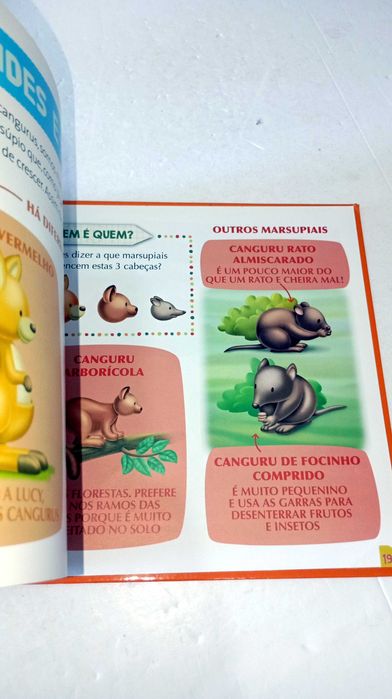 Lucy, a Canguru - Os meus animais do Zoo