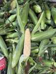 Продам Кукурузу ракель