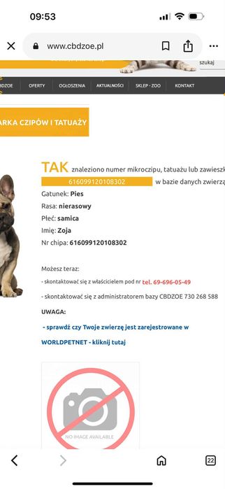 Nutka szuka nowego domu