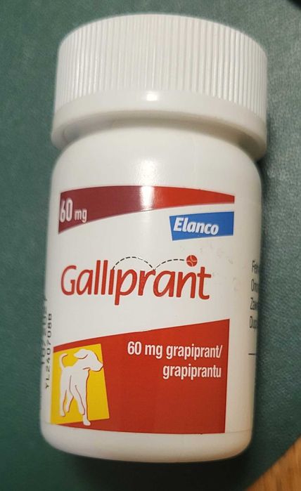 Galliprant 60mg, dla psów