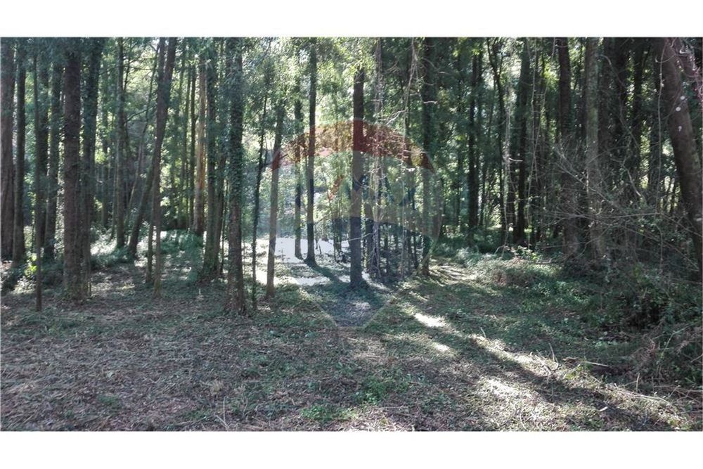 Terreno T0 para venda