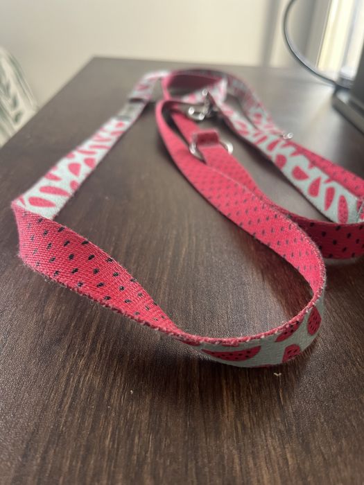 Kolorowa smycz przepinana amiplay 2,3 metra