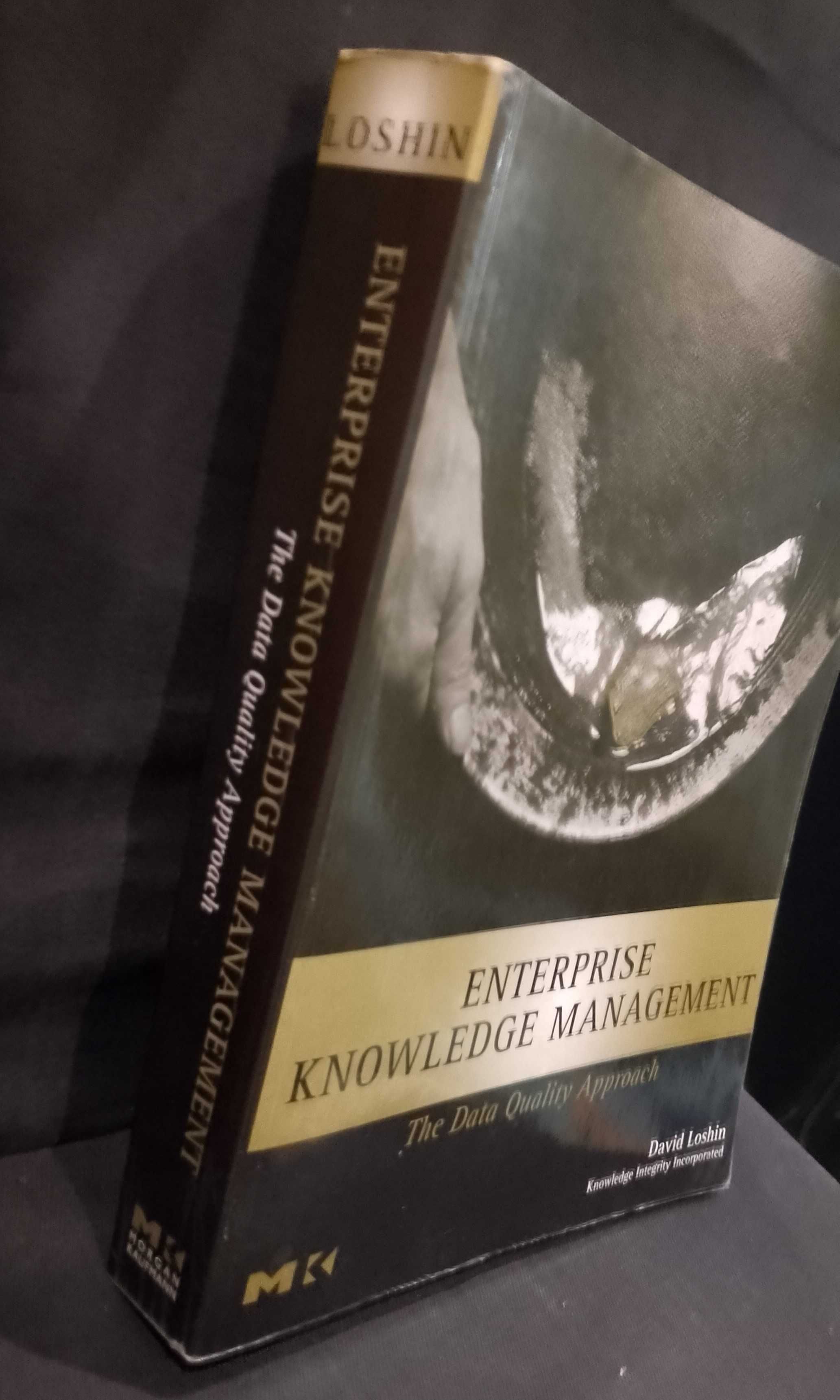 Enterprise Knowledge Management - David Loshin