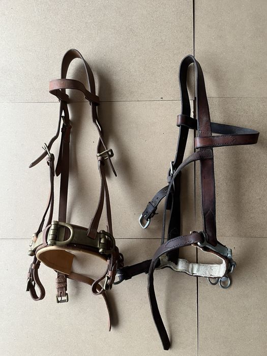 Serrelhão …………..