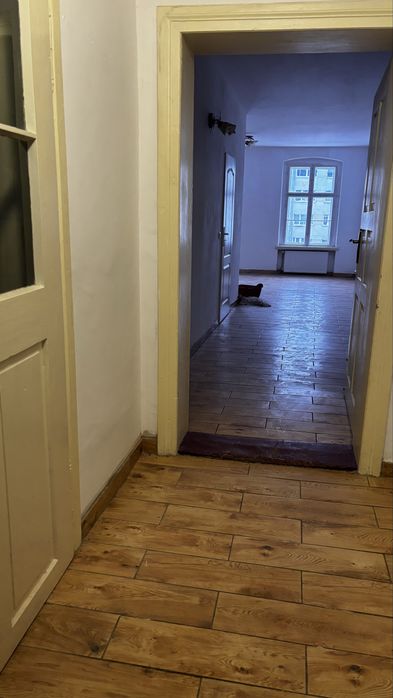 Mieszkanie 2 pokoje do wynajęcia