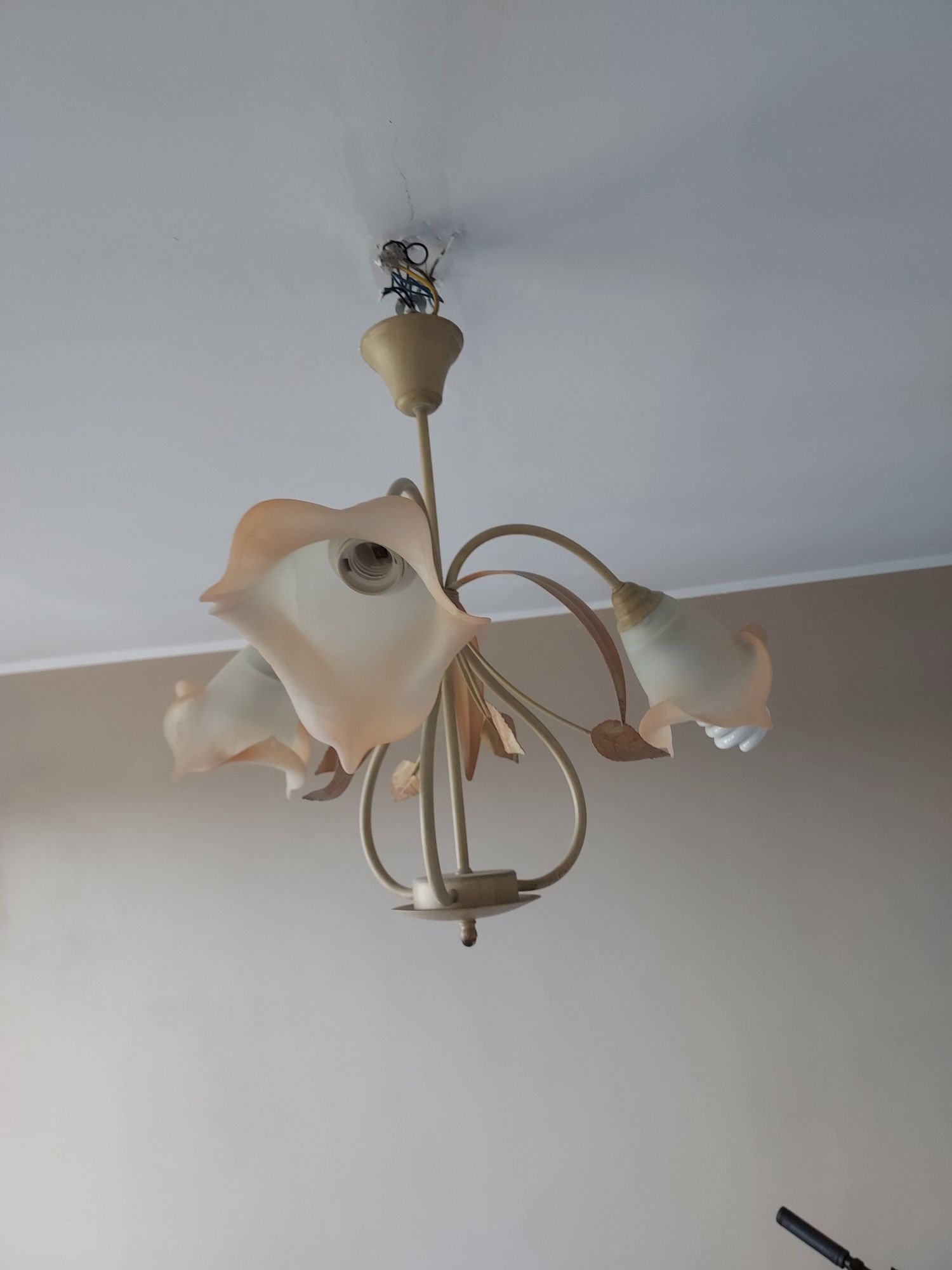 Piękny żyrandol kwiaty lampa sufitowa