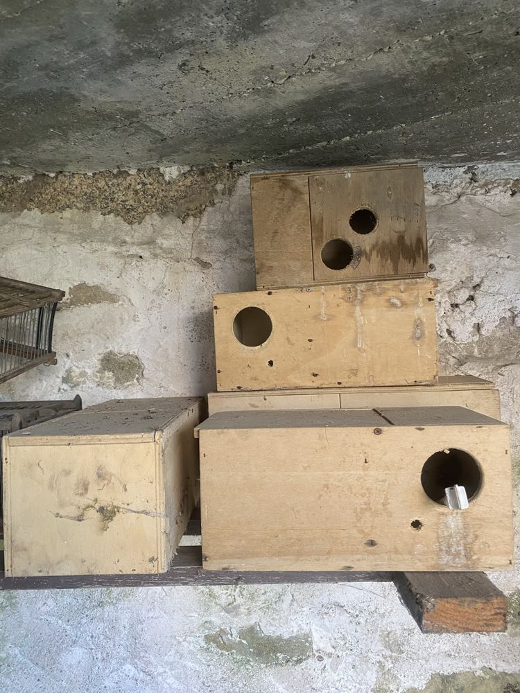 Gaiolas e acessorios passaros