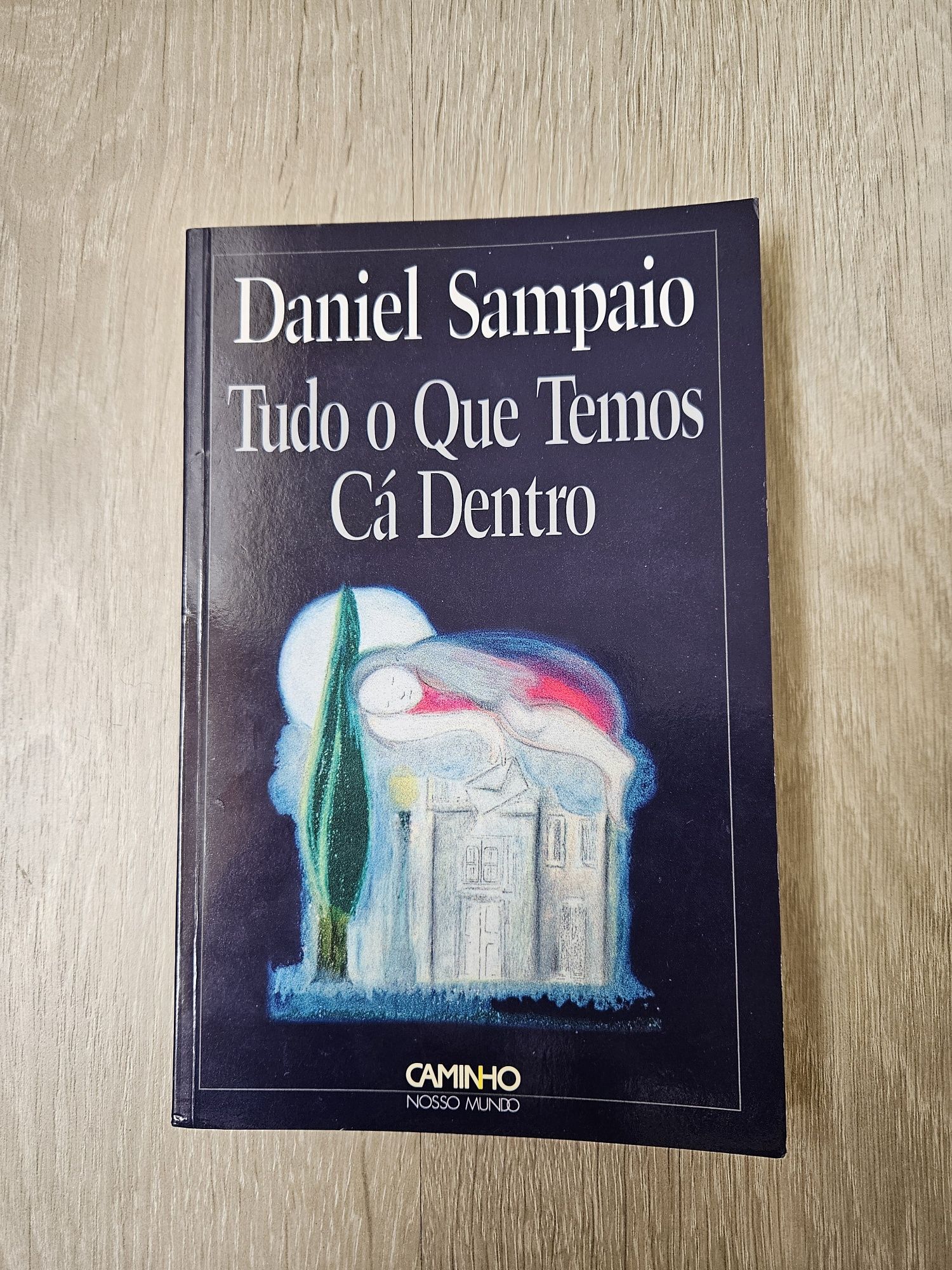 Tudo o que temos cá dentro - Daniel Sampaio