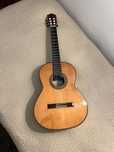 Guitarra Paco Castilho 205
