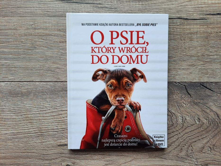DVD FILM O psie, który wrócił do domu