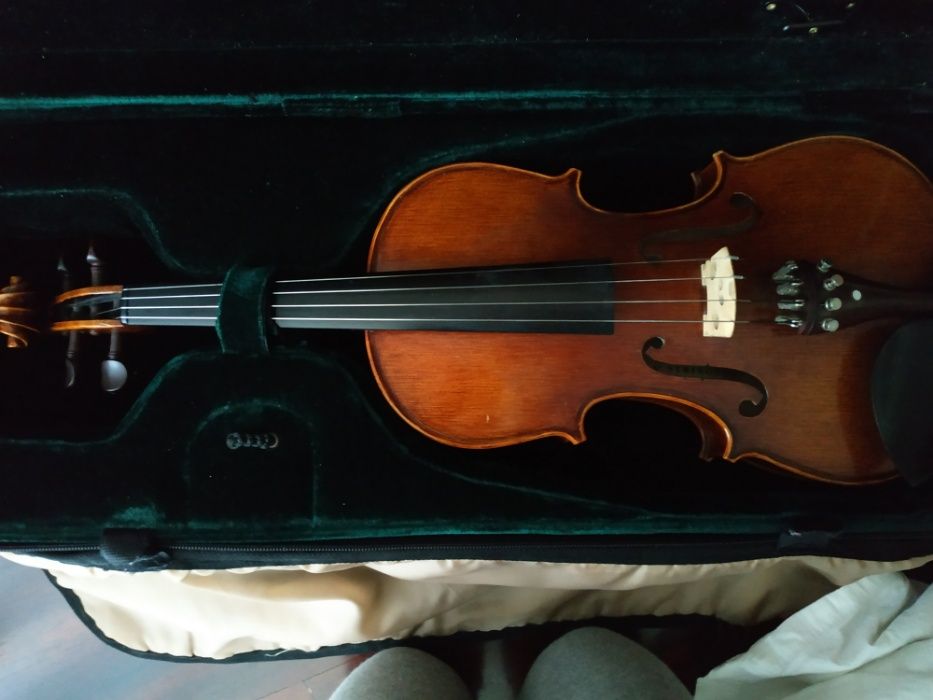 Violino 3/4    .