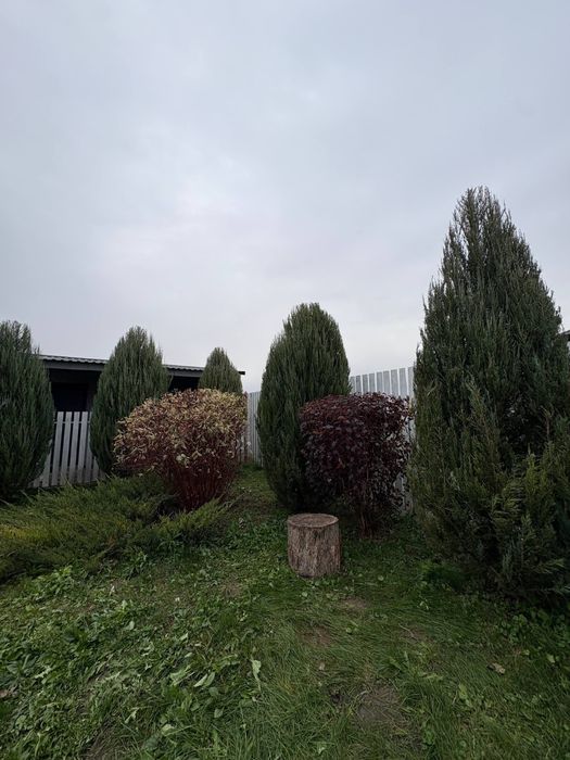 Садівники,Ландшафтний дизайн,Вишгород,Осещина,Нові петрівці