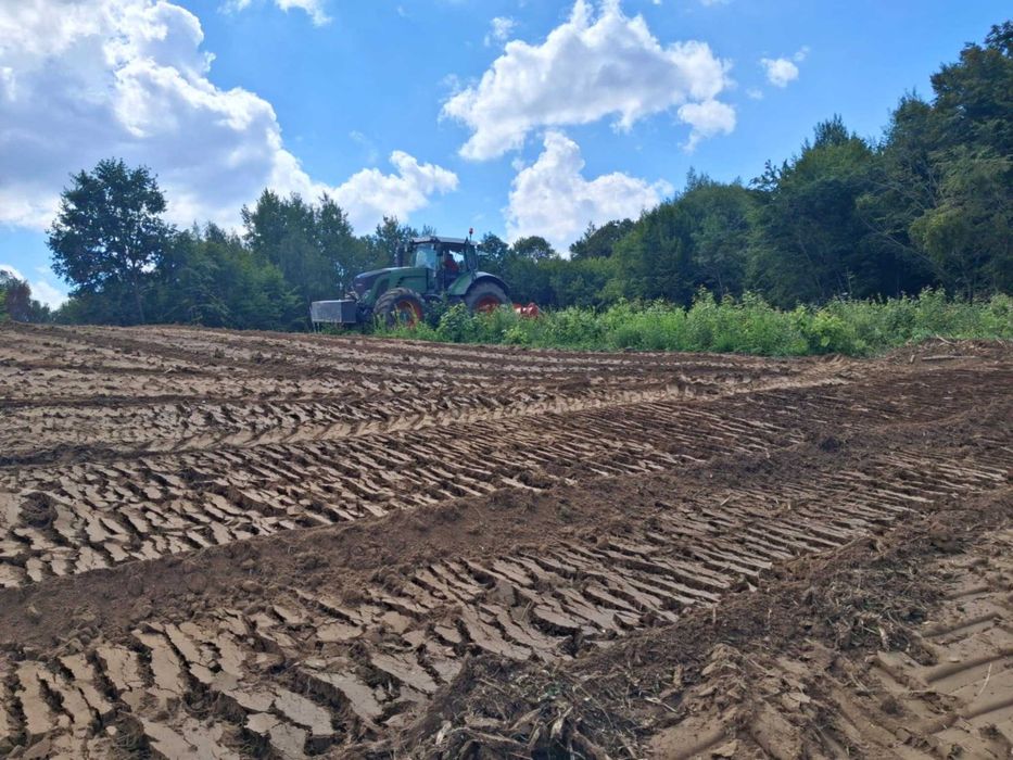 mulczowanie ,wycinka samosiejek,krzaków i zarośli.