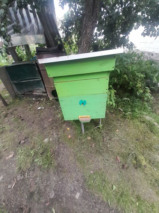 Вулики на 12 рамок