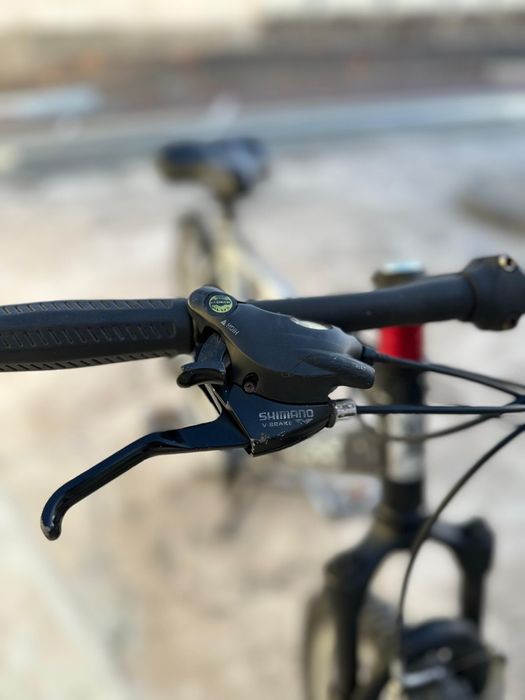 Bicicleta da Boss