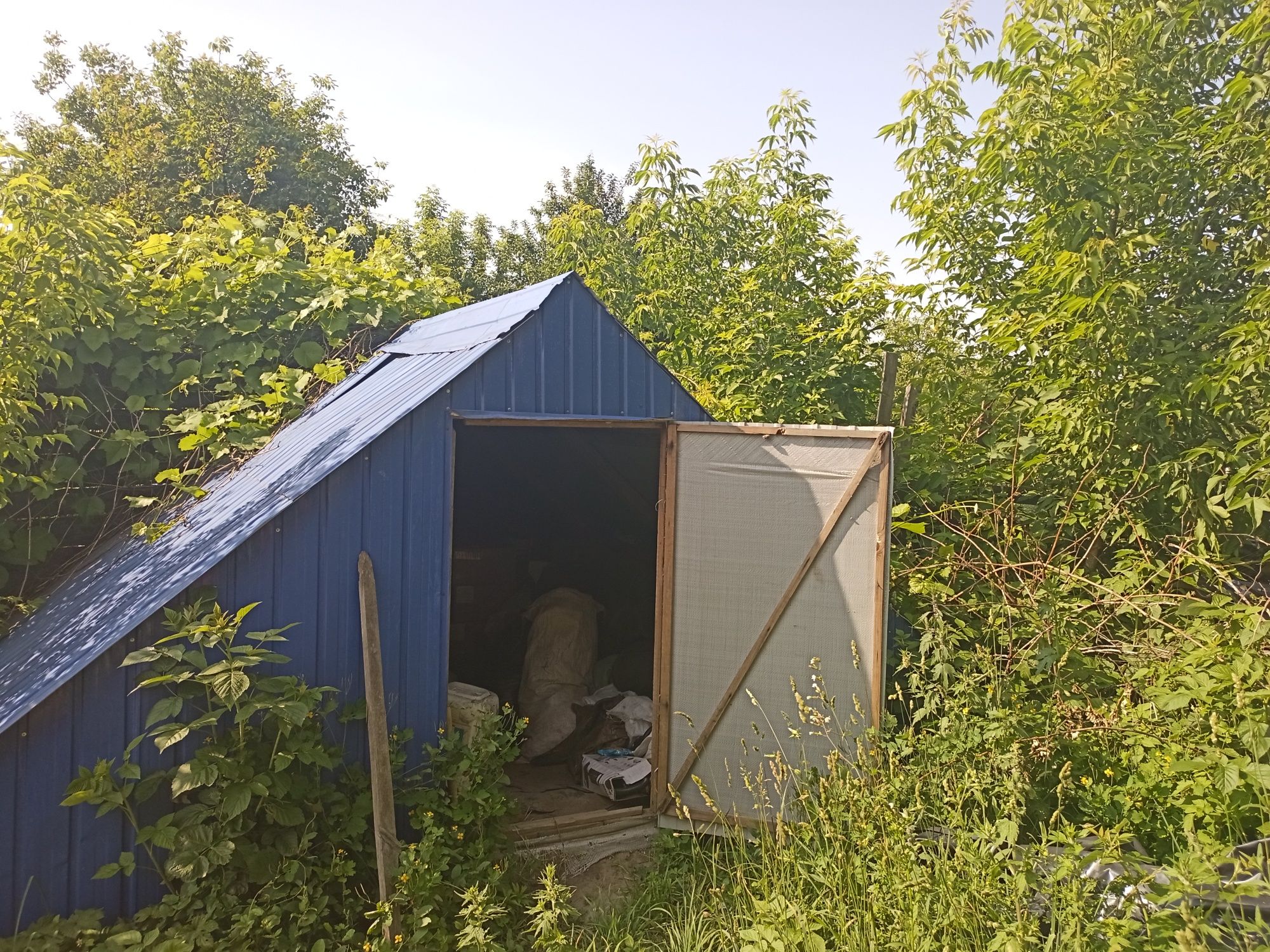 Продаю будинок в с. Новоселиця.