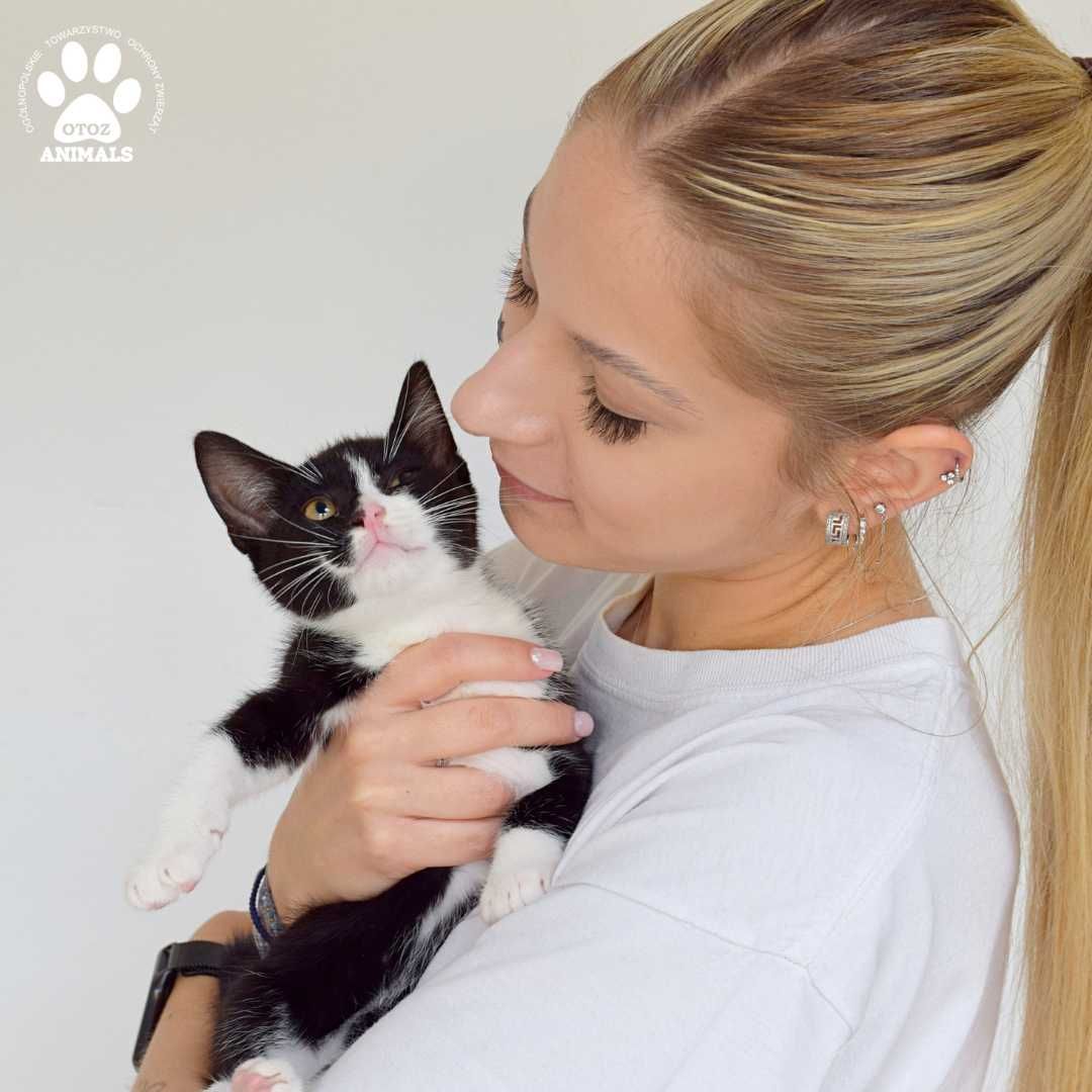 Mały kotek do adopcji! Poznajcie Diego!