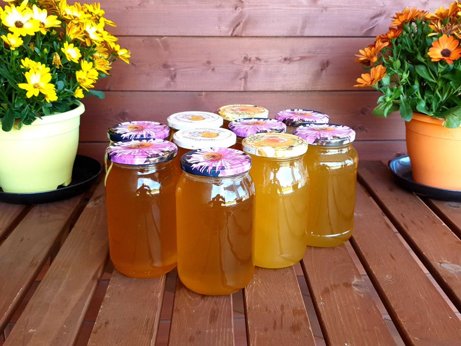 Miód z przydomowej pasieki