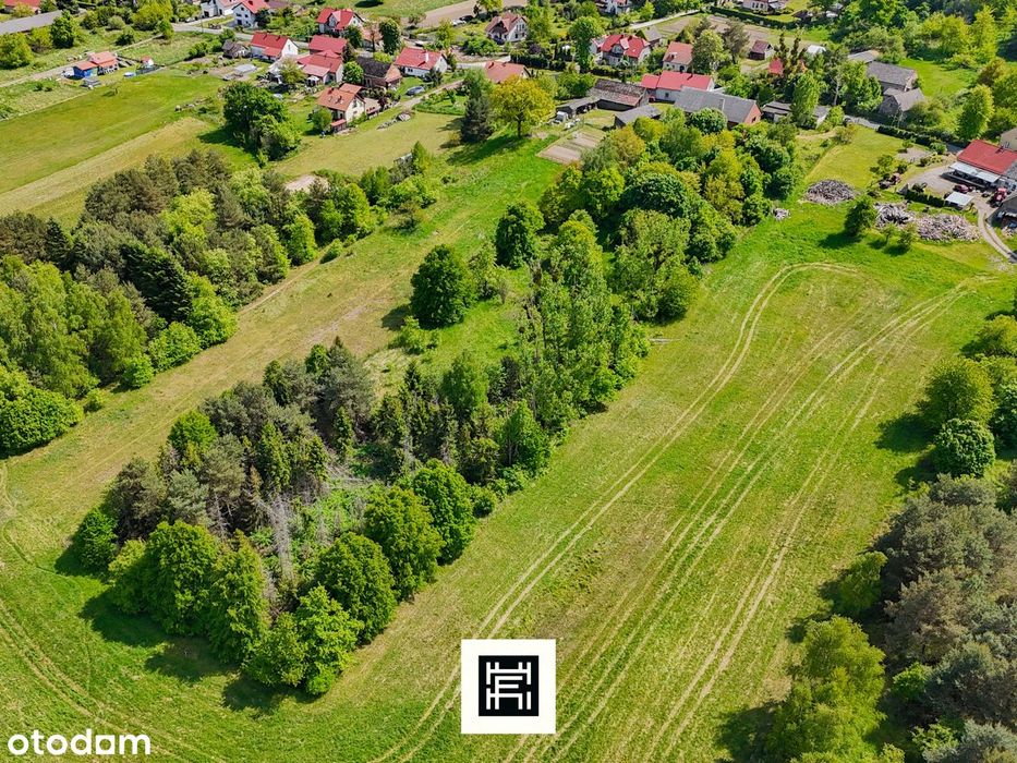 Industrialna stodoła, wielki teren i las–czy to będzie Twoje miejsce?