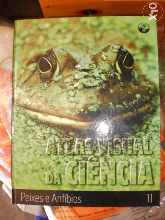 Vendo 3 Livros Infantis